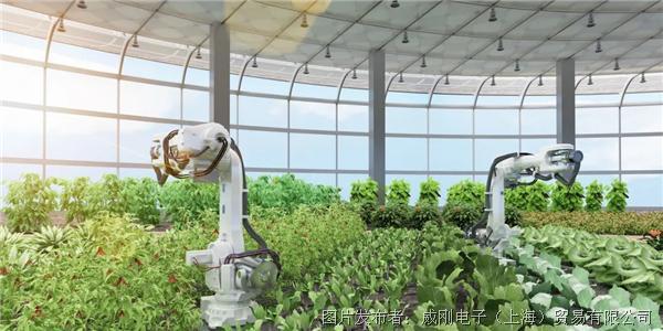 智慧農業大有可為,“數字種地”更輕松 智慧農業大有可為,“數字種地”更輕松